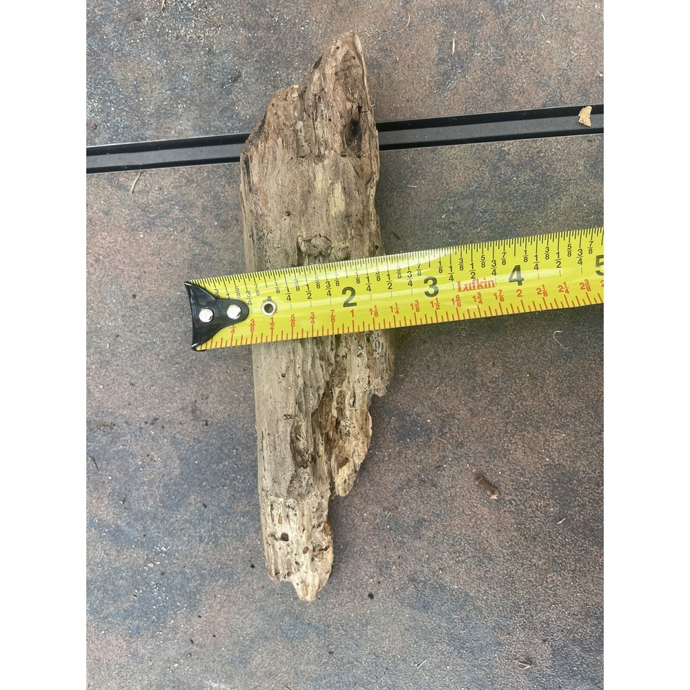 Natural Driftwood for Plants Terrarium Taxidermy Art Projects - Picture 4 of 4